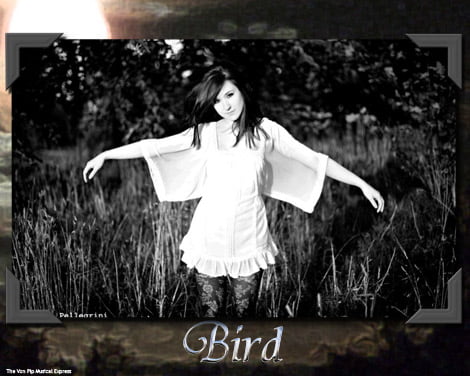 Magic, Moonlight And Mystery – Bird Interview