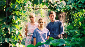 Track Of The Day – Museum of Bellas Artes – Bear Cubs