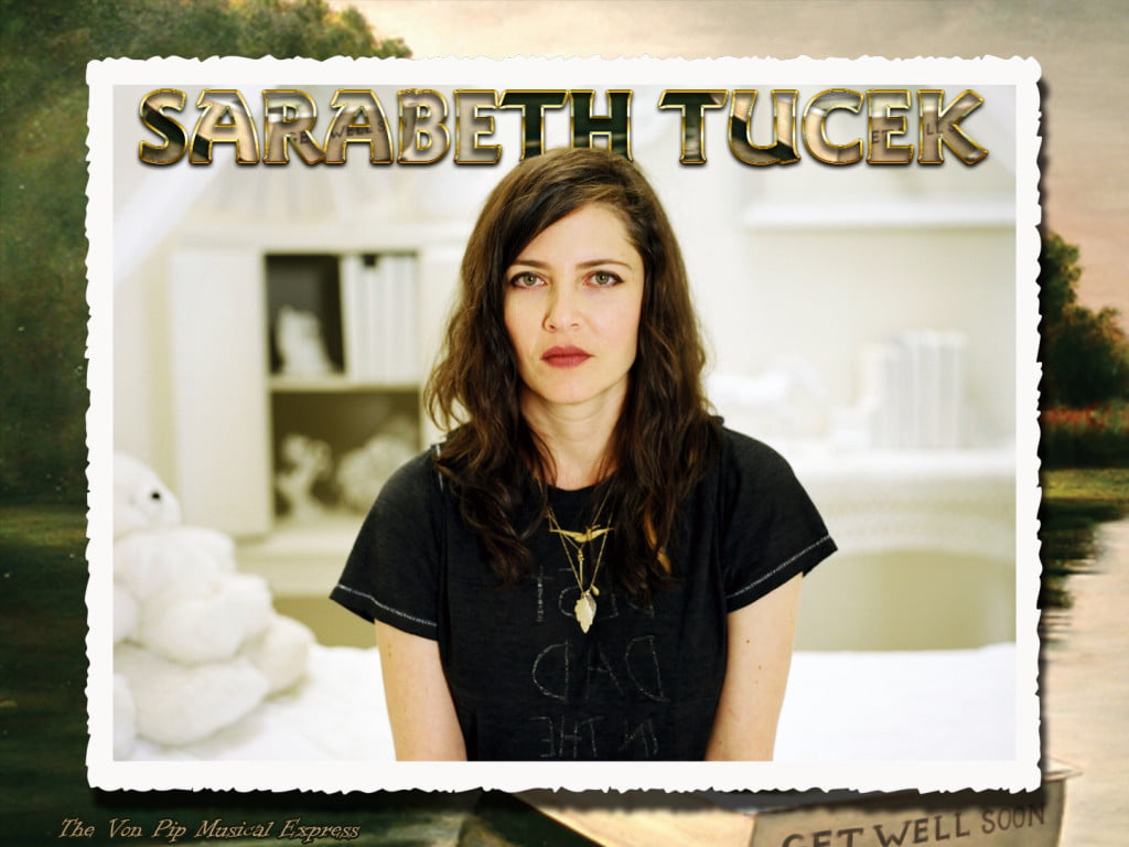The VPME | Into The Light - Sarabeth Tucek -Get Well Soon Album Review and Interview