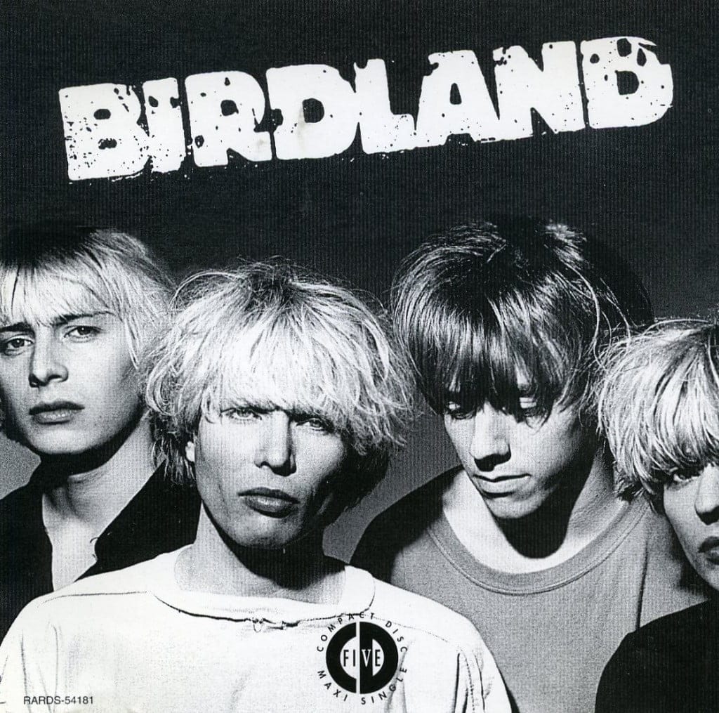 White Light/White Heat - Birdland Return - Interview. 17 The VPME | White Light/White Heat - Birdland Return - Interview.