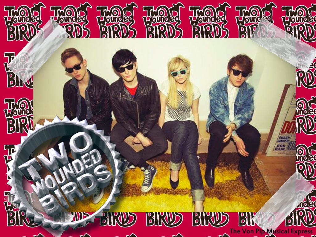The VPME | "Surfin' Bird" -Two Wounded Birds Interview.