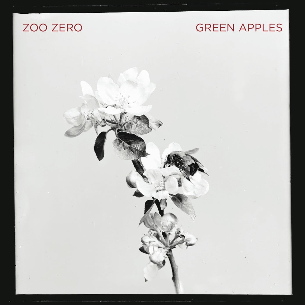 The VPME | Track Of The Day - Zoo Zero - "Green Apples."