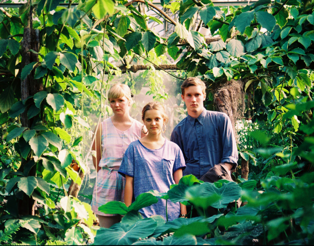 The VPME | Track Of The Day - Museum of Bellas Artes - Bear Cubs