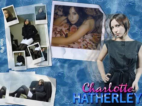 Small charlotte