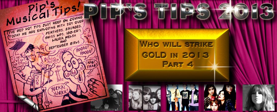 The VPME | Pips Tips – 30 Breakthrough Acts For 2013 - Part 4 – #11 to #15 1