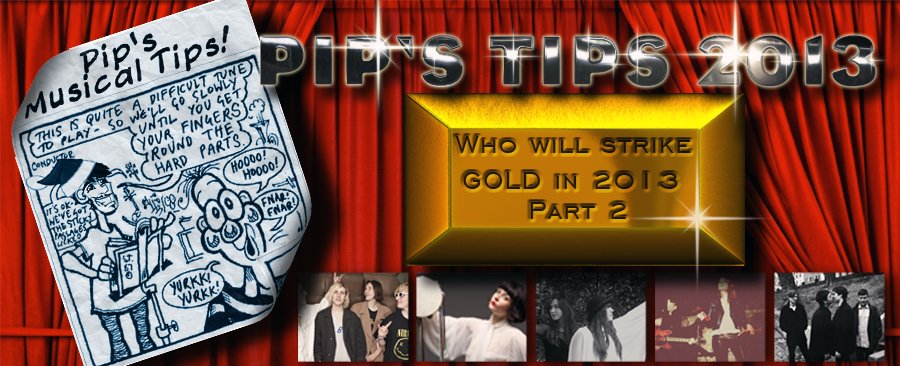 The VPME | Pips Tips – 30 Breakthrough Acts For 2013- Part 2 – #6 to 8 4