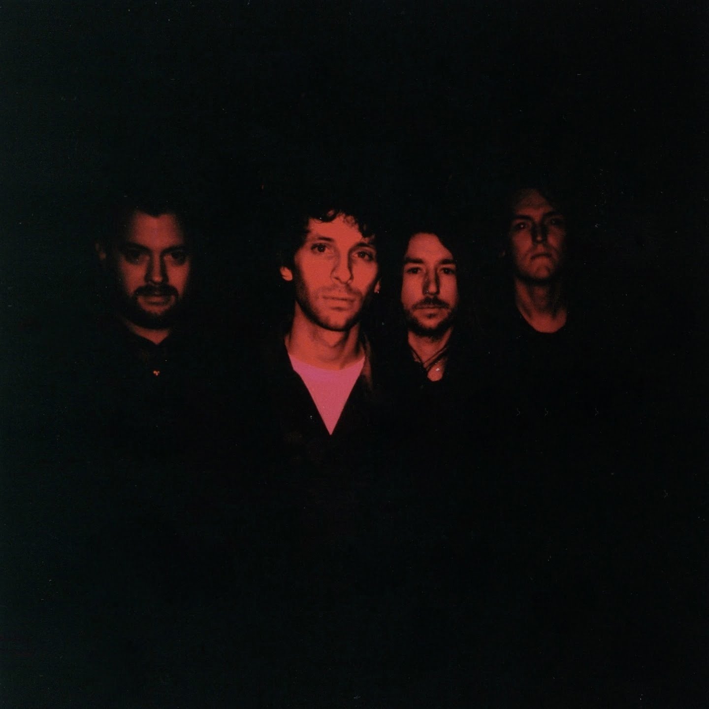 The VPME | Track Of The Day - Whales In Cubicles - 'All The Pretty Flowers'