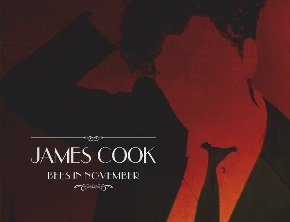 The VPME | Track Of The Day - James Cook - 'Bees In November'