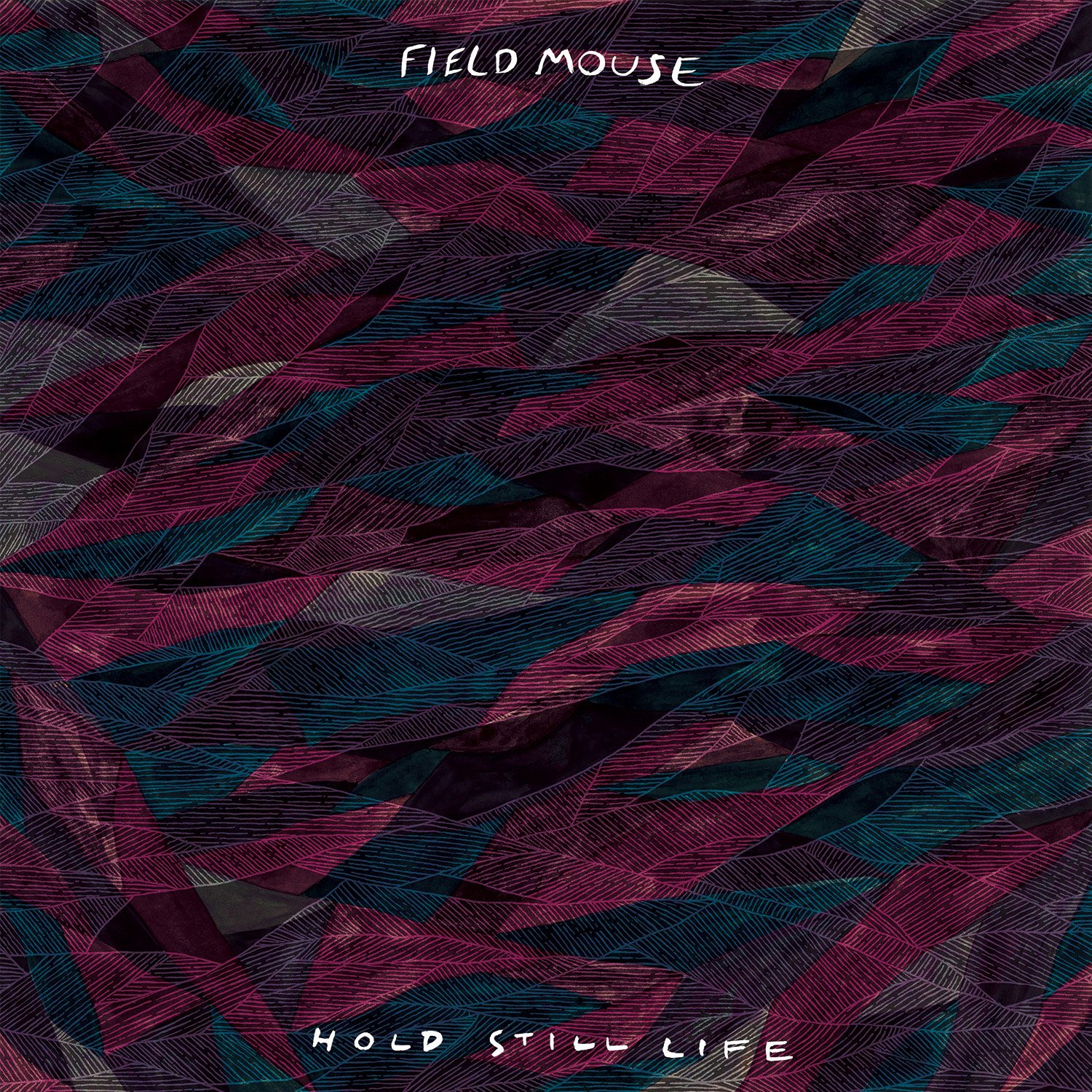 The VPME | ALBUM REVIEW : Field Mouse - 'Hold Still Life'  1