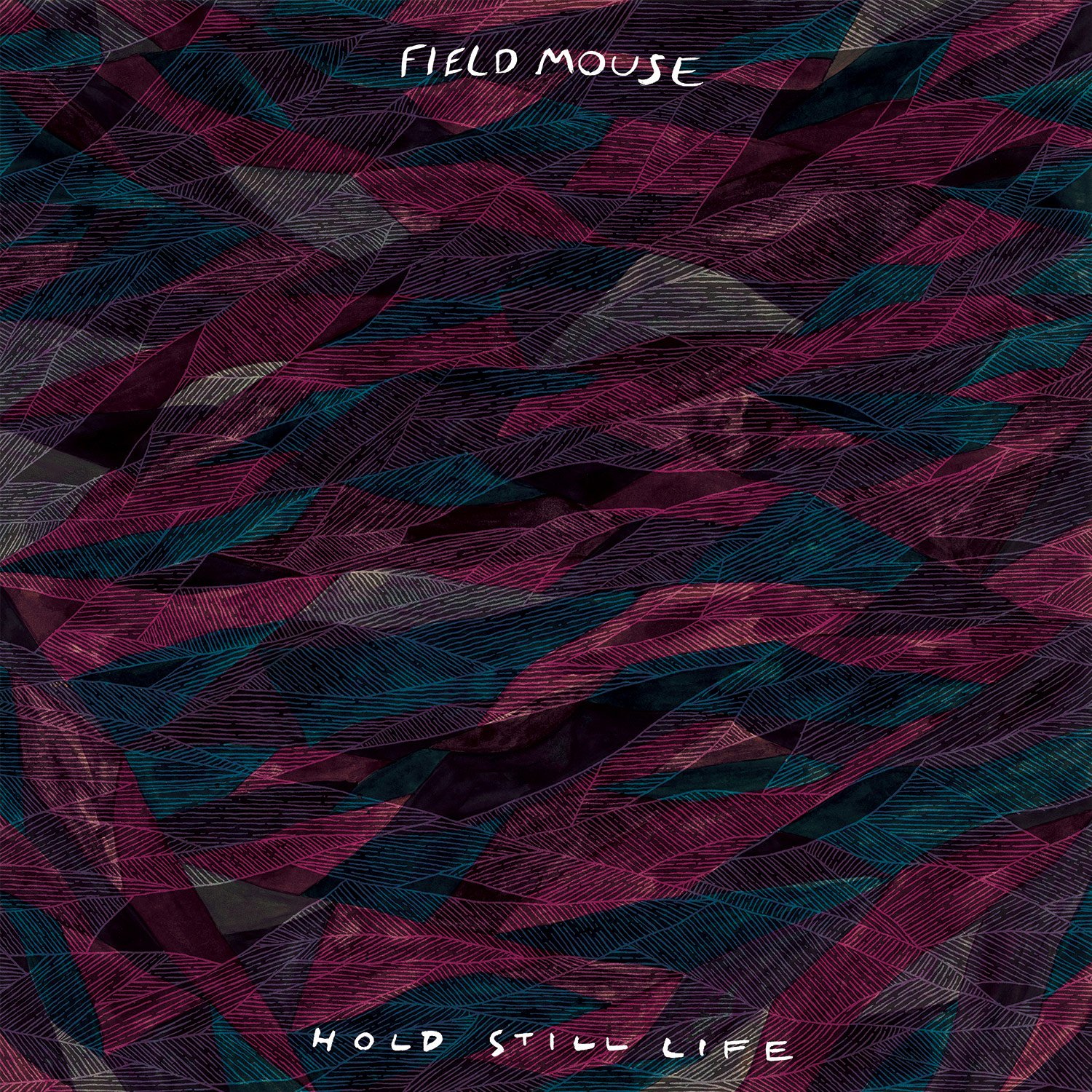 The VPME | ALBUM REVIEW : Field Mouse - 'Hold Still Life'  1
