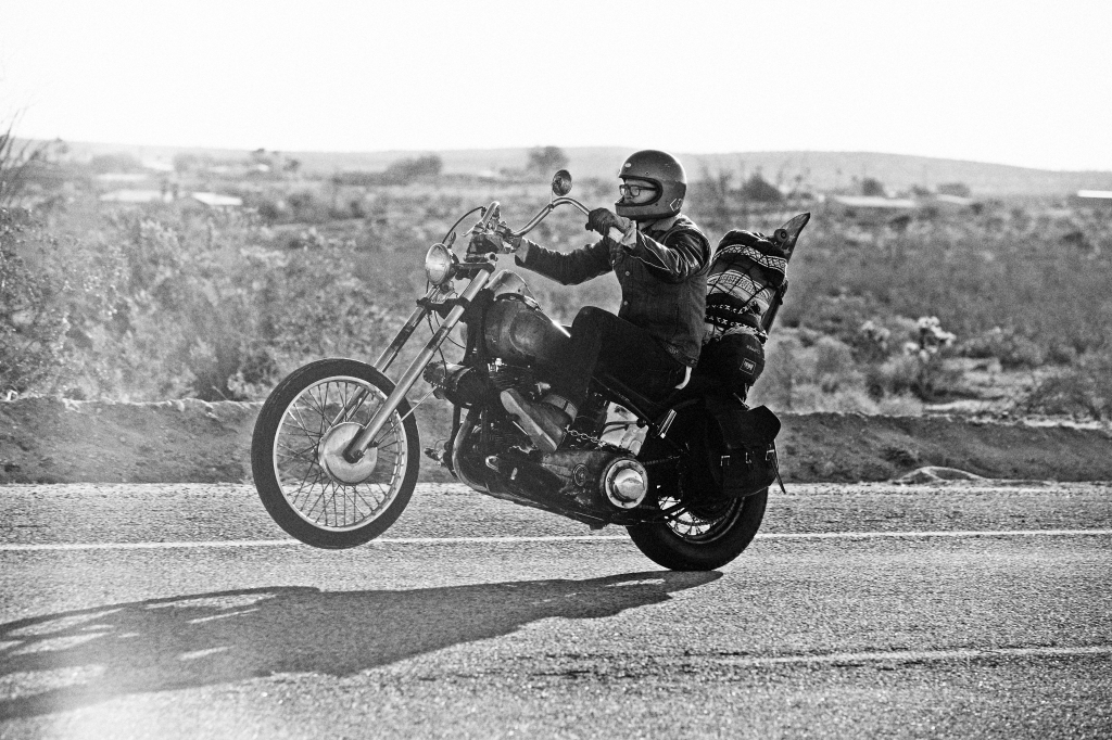 Sailor Jerry vs Iggy Pop - Living Life 'Outside The Lines' 3 SJ_01109