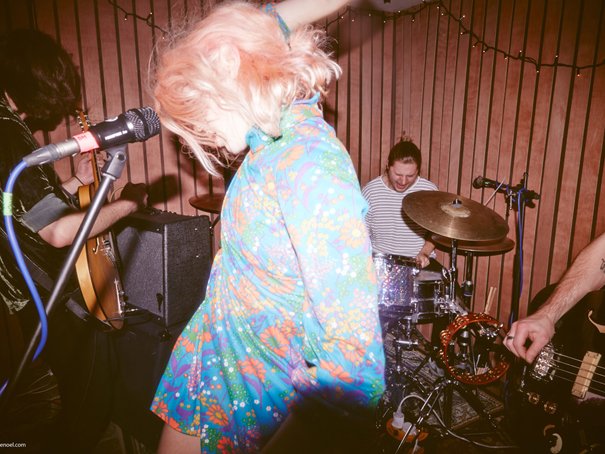 Pips Tips - THE VPME Tips For 2015. 2 blackhoney