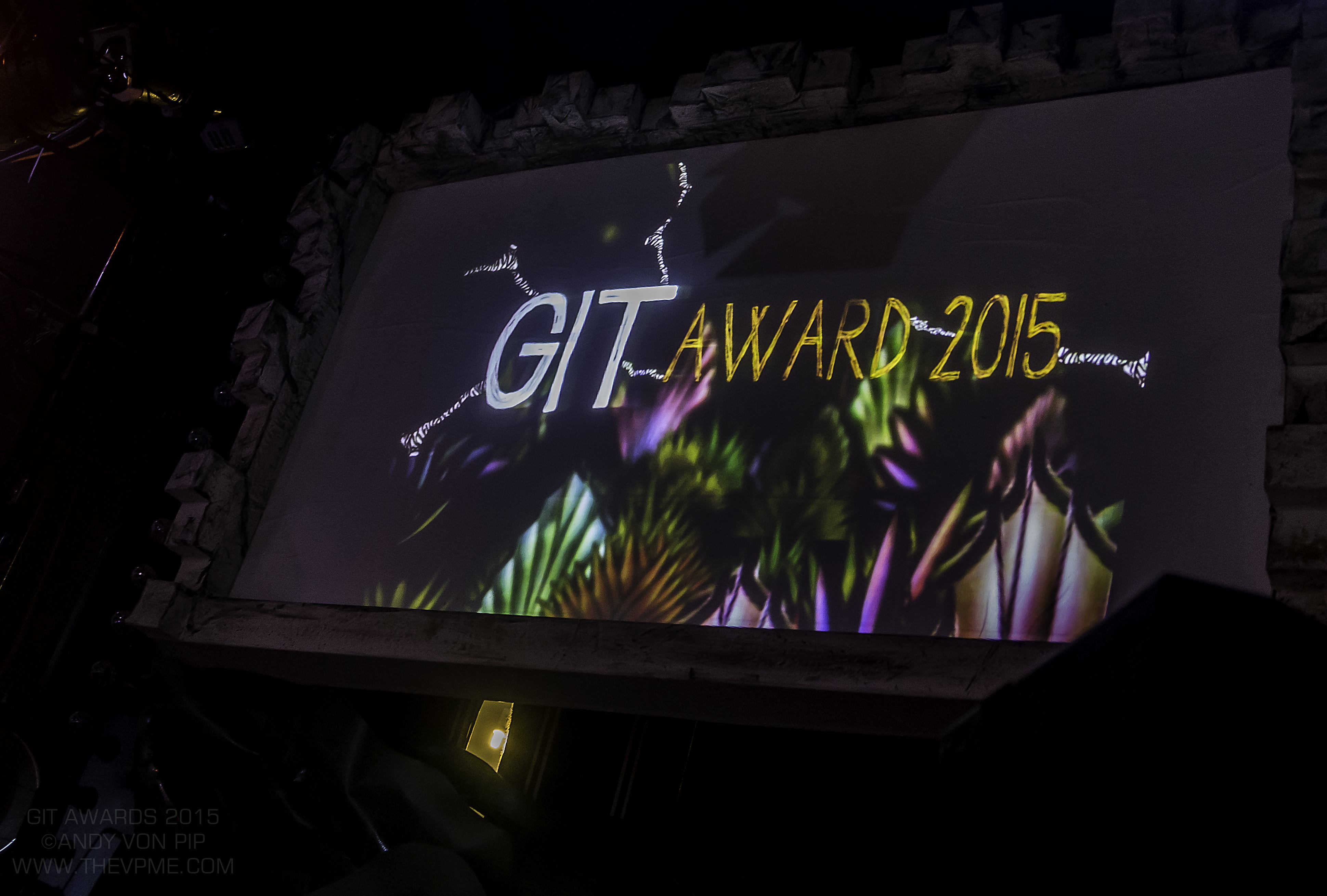 GitAwards_ head