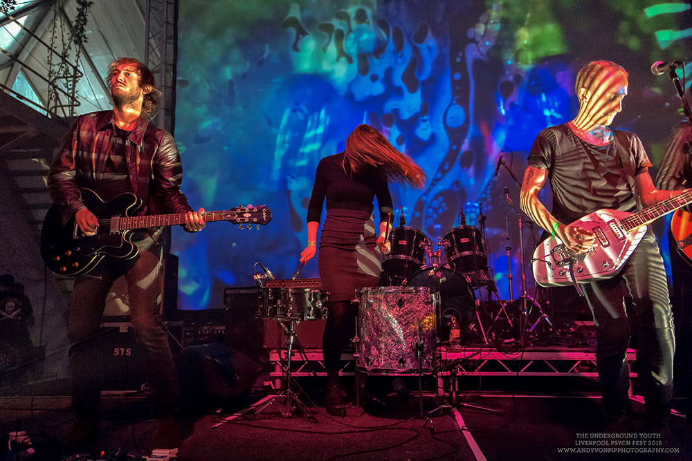 The VPME | IN PICTURES : LIVERPOOL PSYCH FEST 2015 1
