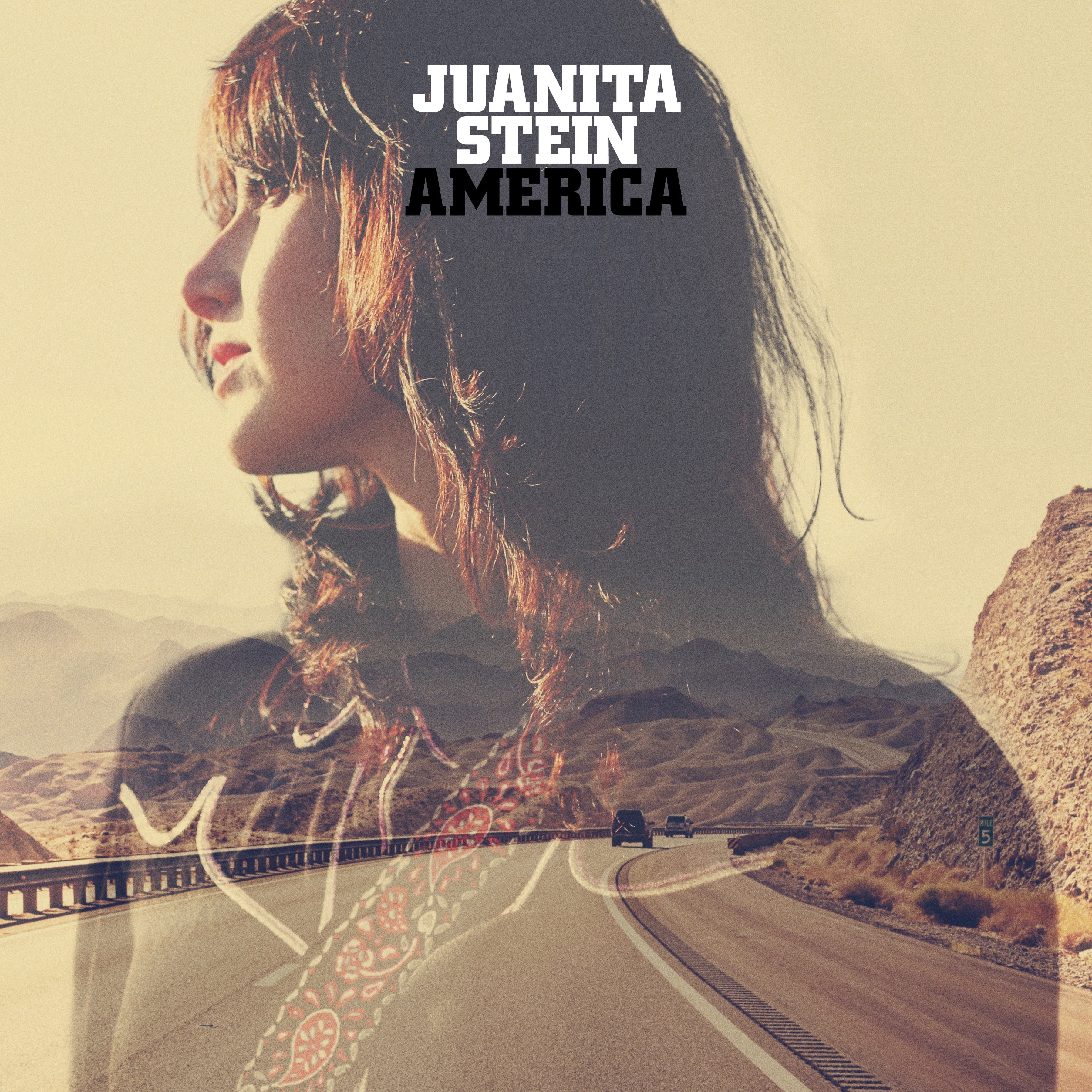 JUANITA STEIN - America Album review , the VPME