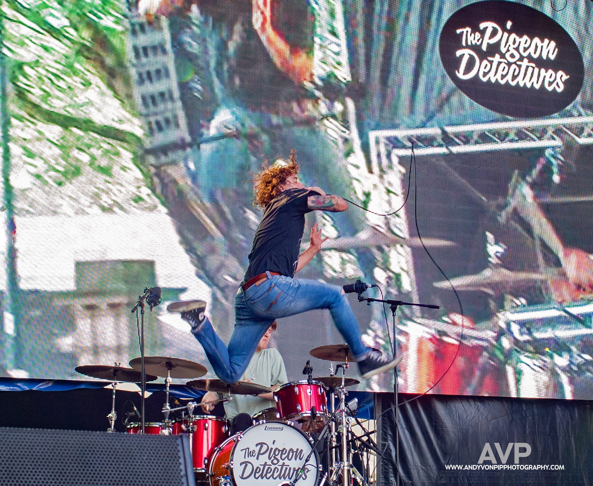 Pigeon Detectives1 small