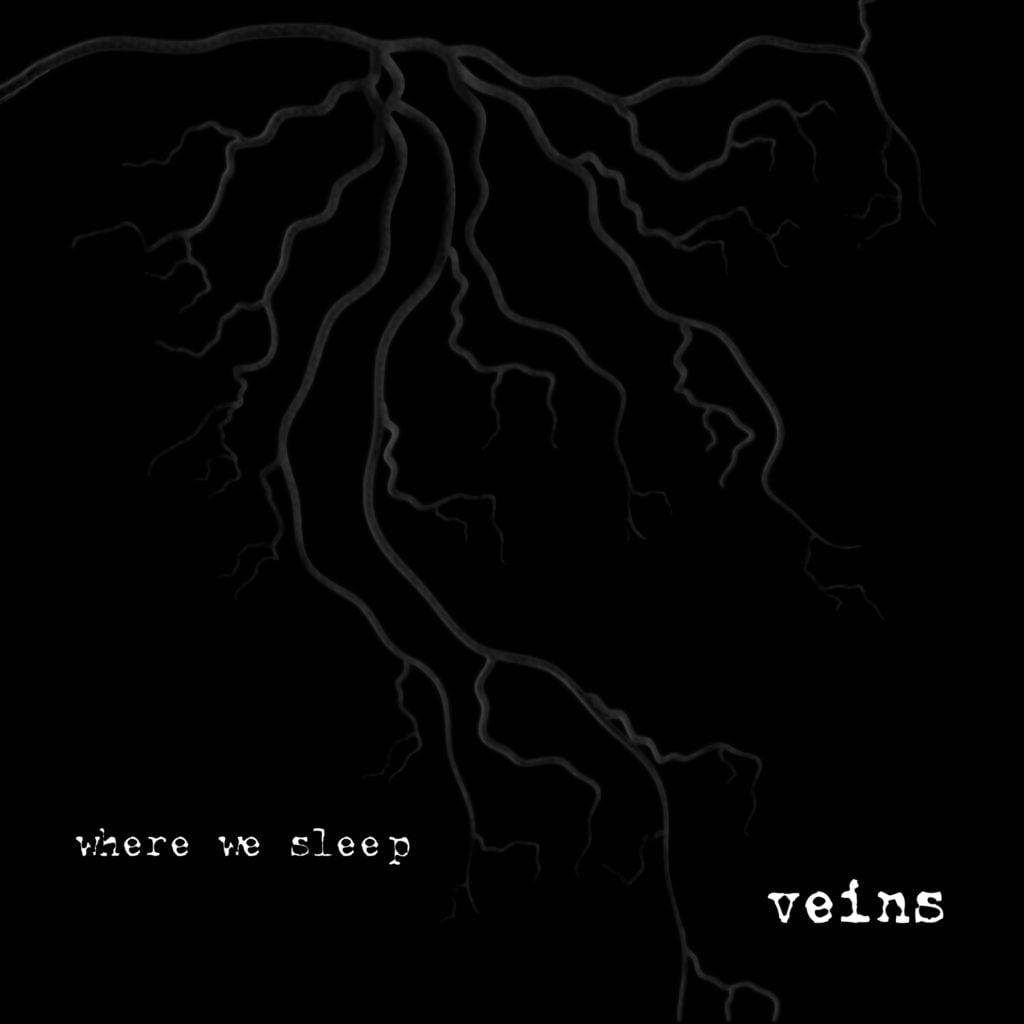 The VPME | Track Of The Day - Where We Sleep - Veins 3