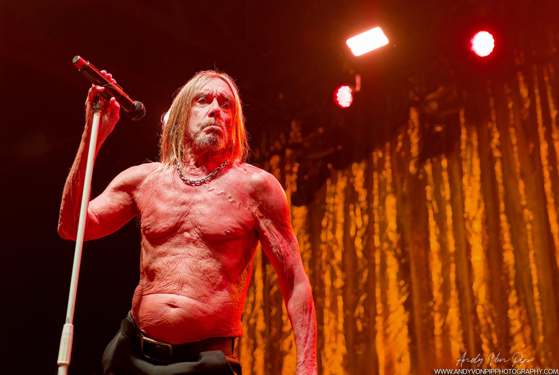 WM3 IGGY