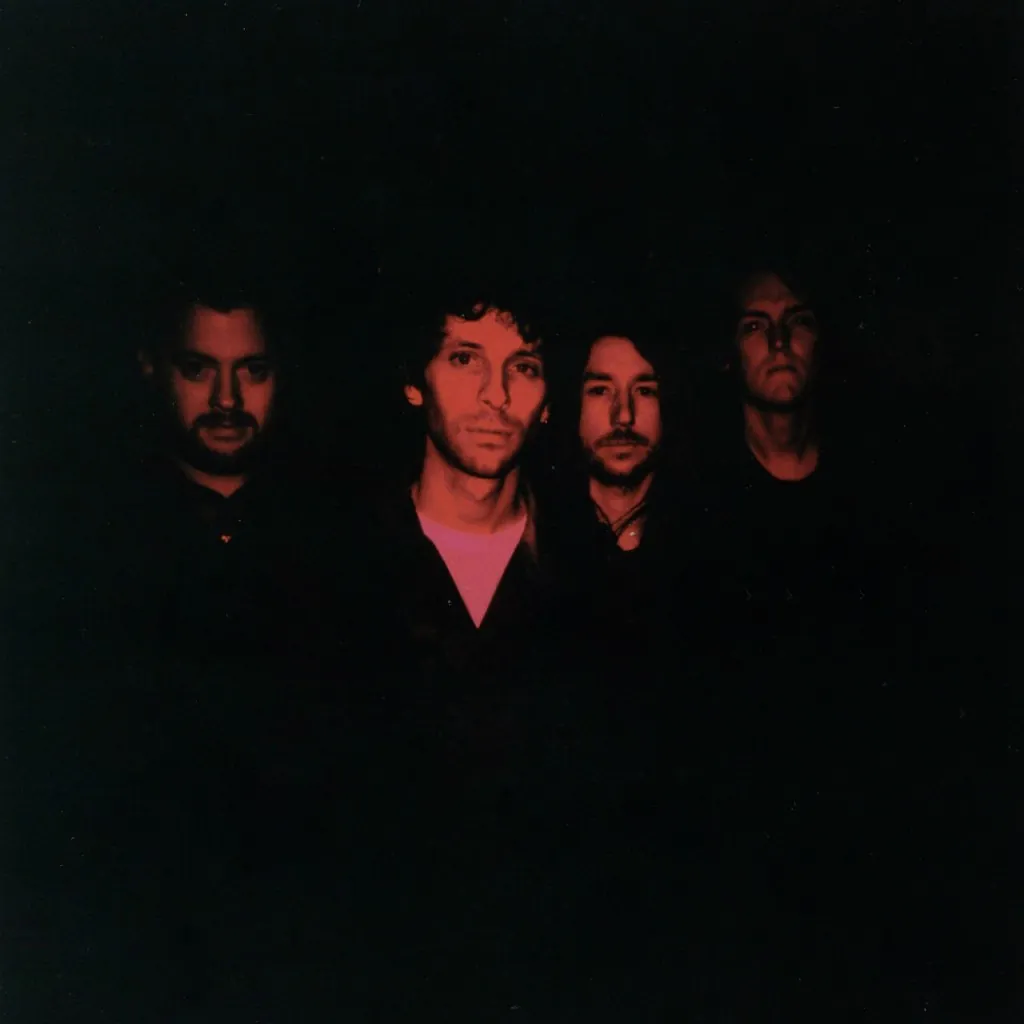 The VPME | Track Of The Day - Whales In Cubicles - 'All The Pretty Flowers'